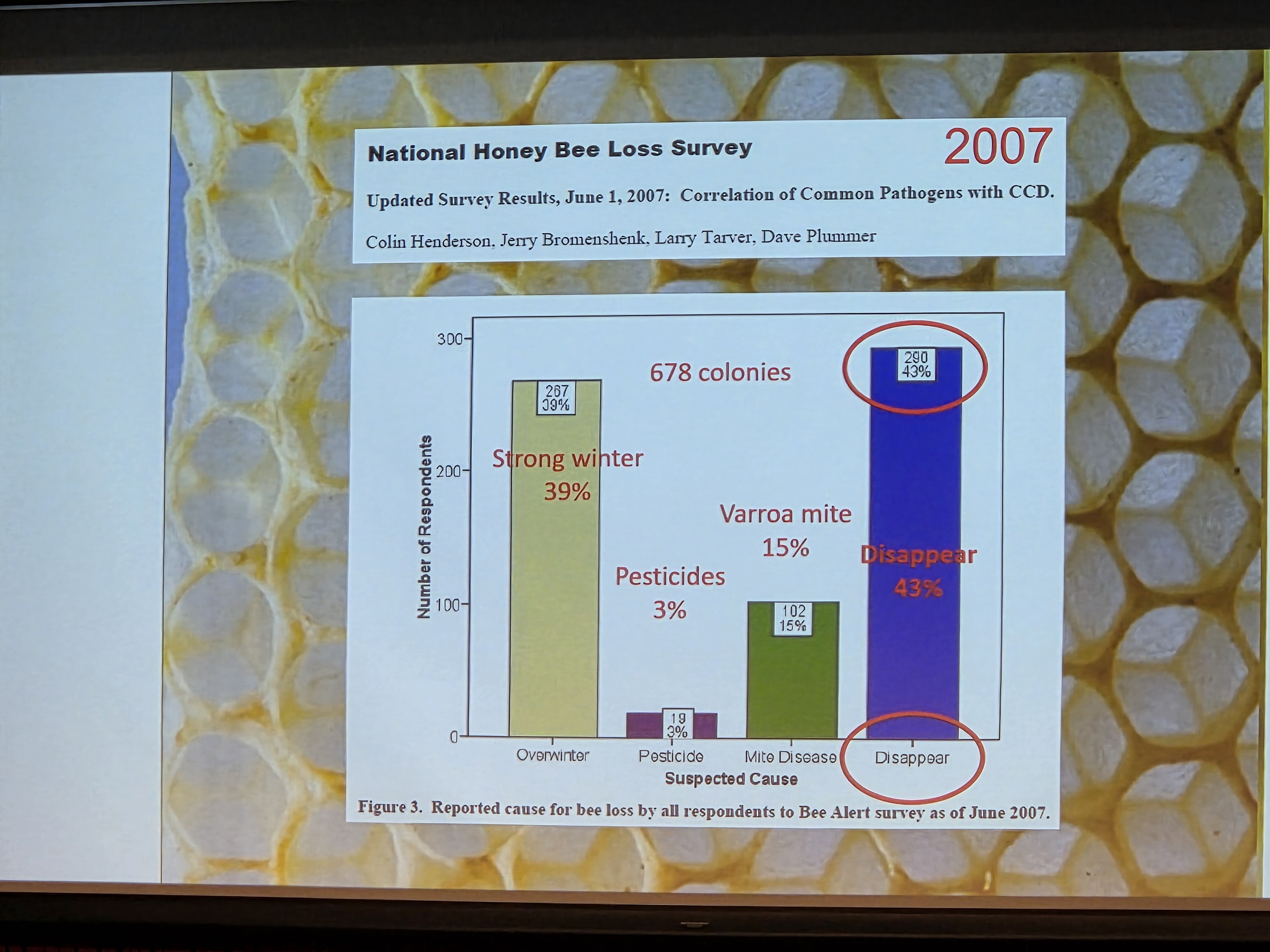 Foto: Daniel Favres lysbilde fra presentasjonen 18. oktober 2025, med henvisning til en studie fra 2007 som viser at forsvinning er den viktigste rapporterte årsaken til tap av honningbier.³